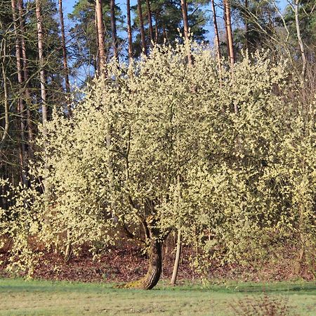 Ferien In Troja Villa Larz Luaran gambar